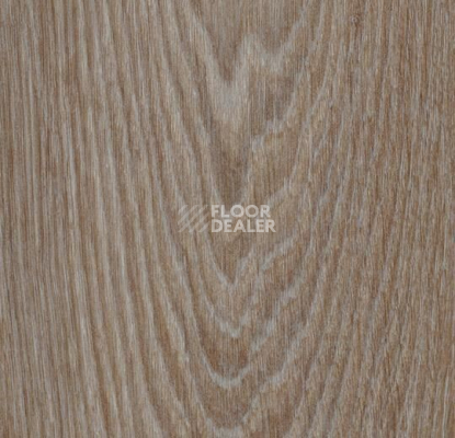 Кварцвиниловые полы Forbo Allura Click 63410CL5 hazelnut timber фото 1 | FLOORDEALER